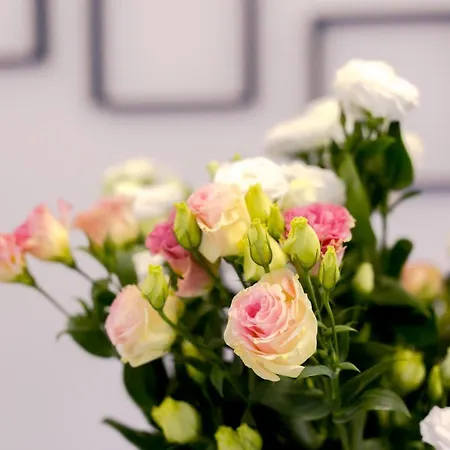 U Andrzeja Apartamento *