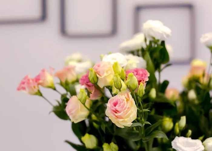 U Andrzeja 아파트 *